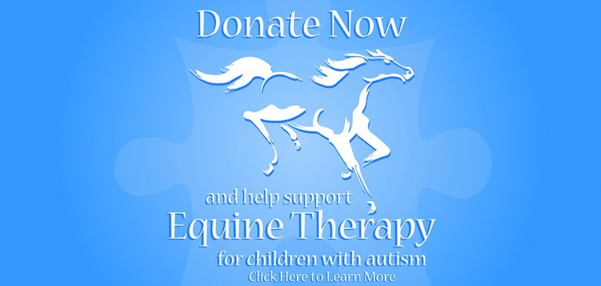 Autism Equine Therapy